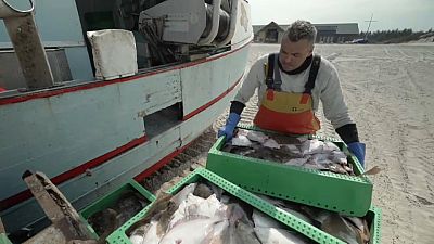 Small-scale Danish fishermen push back against industrial fishing