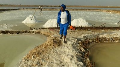 Diouf employs between 10 and 20 men and women on her marshland