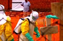 Különleges ebolaügyi ENSZ-megbízott Kongóban