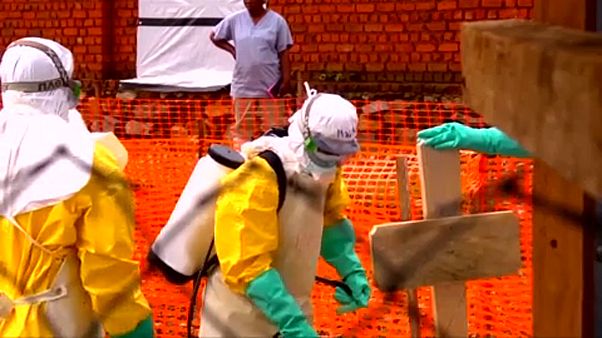 Különleges ebolaügyi ENSZ-megbízott Kongóban Különleges ebolaügyi ENSZ-megbízott Kongóban