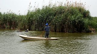 صياد أسماك مصري في النيل