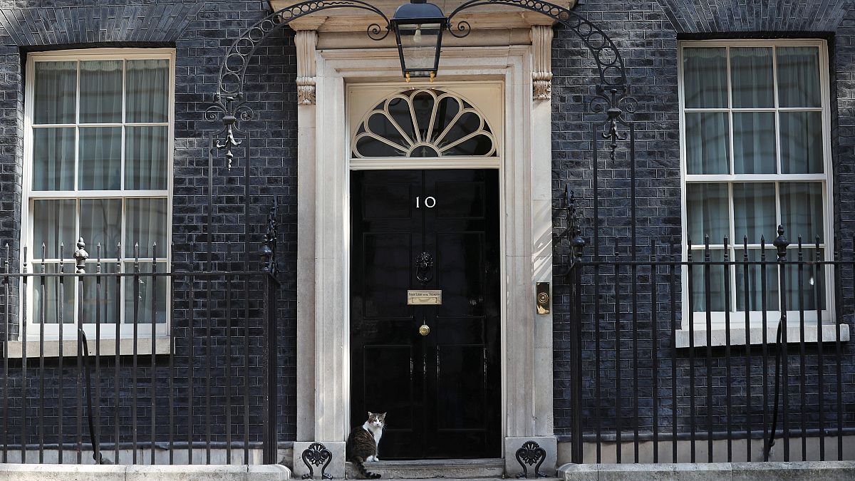 Who will let in Larry the cat when Theresa May leaves Downing Street?