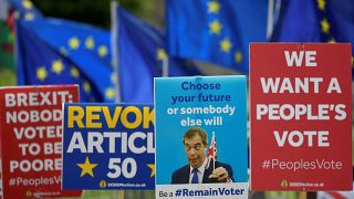 Avrupa Parlamentosu 2019 seçimleri: Avrupa’da siyaset bölünüyor mu? 