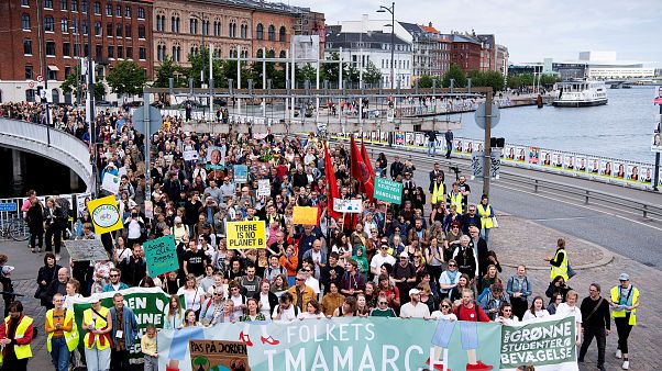 A climate march in Copenhagen on the day before the EU election results A climate march in Copenhagen on the day before the EU election results