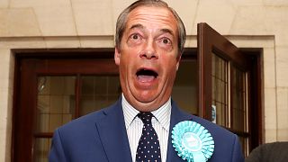 Nigel Farage will be back in Brussels as an MEP