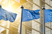 Avrupa seçimleri kıtaya yeni siyasi rüzgarlar ve dalgalar getirdi: Sırada ne var?