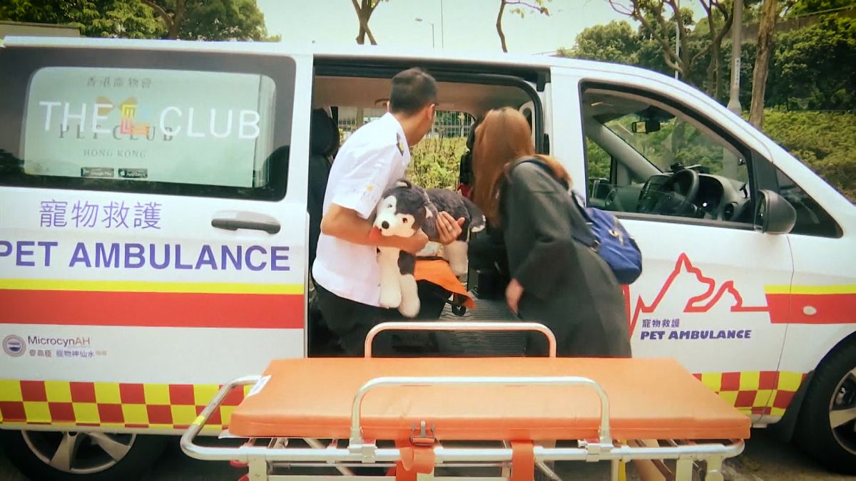 An ambulance service for pets for the first time in Hong Kong