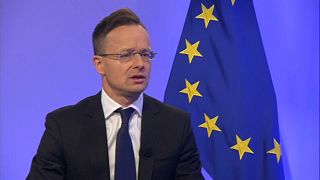 Hungary foreign minister rejects Weber for EU's top job, claps back at Article 7 'torture'