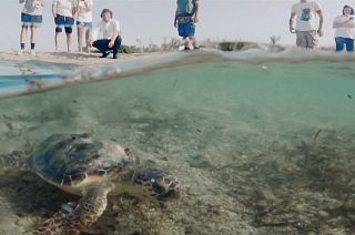Tide turns for an Italian coastal wasteland