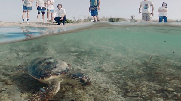 Tide turns for an Italian coastal wasteland