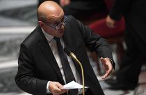 Fransa'dan IŞİD üyesi vatandaşlarının idamını engellemek için Irak'a baskı