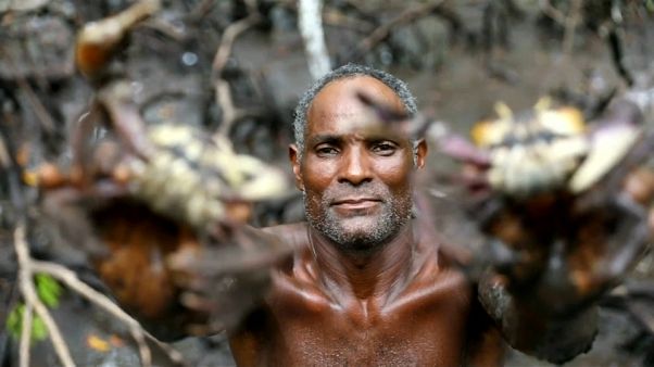 Dans la mangrove, les pêcheurs de crabes subissent le réchauffement climatique Dans la mangrove, les pêcheurs de crabes subissent le réchauffement climatique
