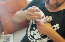 Video | 'Kedi annesi': Mega kent İstanbul'un öksüz kedileri onunla hayata tutunuyor