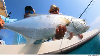 A pesca à pluma no Dubai