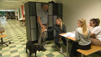 Danish students learn to relax with anti-stress dog