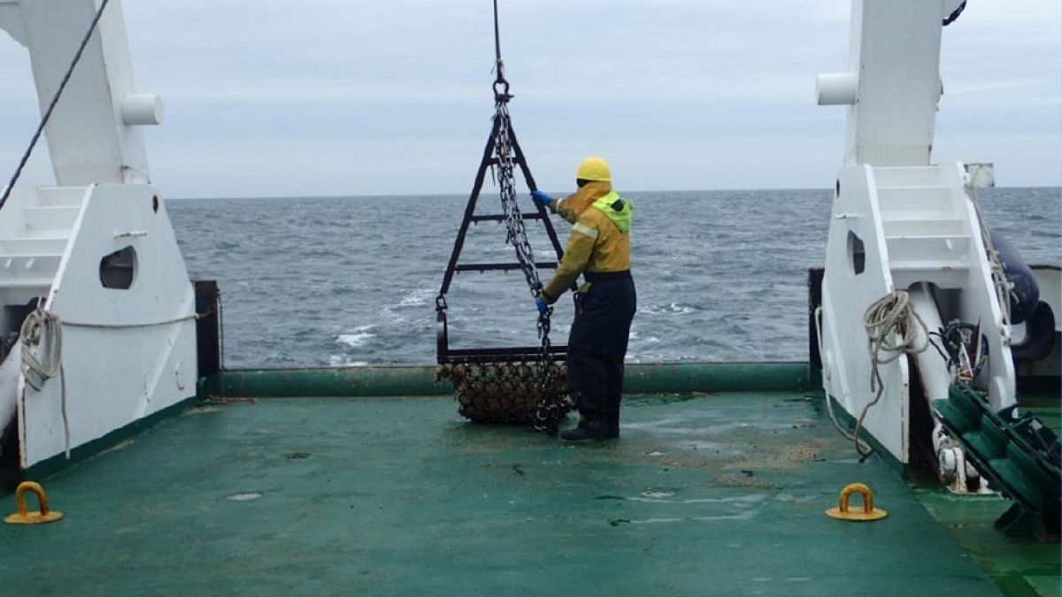Evidence of prehistoric settlement discovered in North Sea