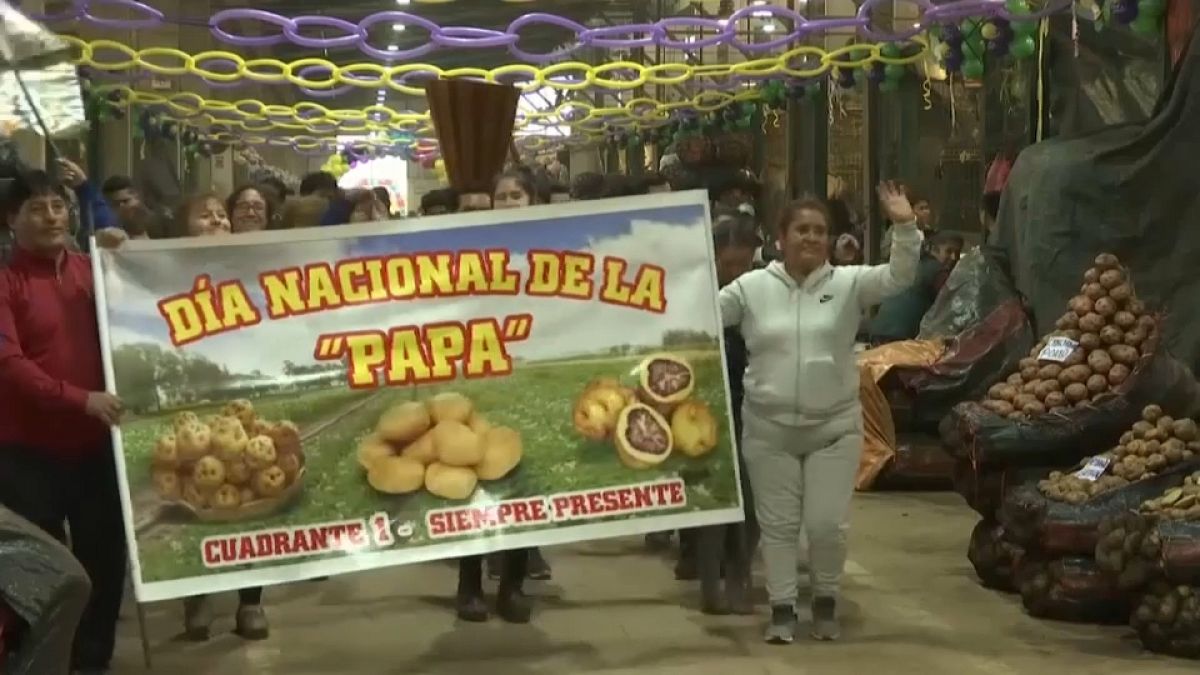 A banner reads 'National potato day: circular and always there'