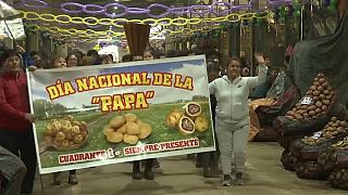 A banner reads 'National potato day: circular and always there'