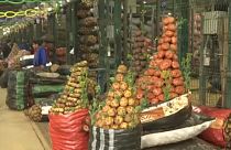 Φεστιβάλ πατάτας στο Περού