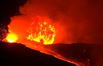 L'Etna si è rivegliato: "Non c'è pericolo per i centri abitati"