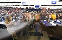The Brief from Brussels: Neulinge im Europäischen Parlament