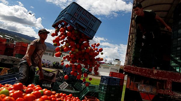 Video | Kolombiya'nın 'Tomatina' festivalinde tonlarca domates havada uçuştu Video | Kolombiya'nın 'Tomatina' festivalinde tonlarca domates havada uçuştu