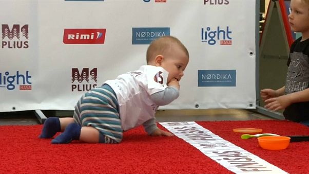 Babies compete in heats on a five-metre carpeted track, Babies compete in heats on a five-metre carpeted track,