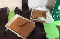 Derileri için kaçırılan binlerce sürüngen hayvan suç örgütlerinin elinden kurtarıldı