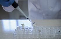 Çin'de ikizlerin genetiği ile oynamanın bedeli: Daha kısa ömürlü olabilirler