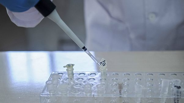 Çin'de ikizlerin genetiği ile oynamanın bedeli: Daha kısa ömürlü olabilirler Çin'de ikizlerin genetiği ile oynamanın bedeli: Daha kısa ömürlü olabilirler