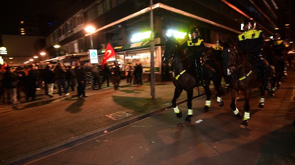 Hollanda polisi Hollanda polisi