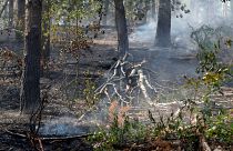 Erdőtüzek Németországban