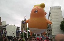 London: Anti-Trump-Proteste nur "Fake News"?