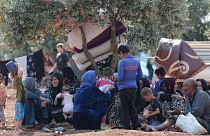 آوارگی هزاران سوری به دلیل آتش زدن مزارعشان توسط شورشیان