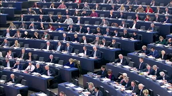 Kaum ethnische Vielfalt im Europäischen Parlament Kaum ethnische Vielfalt im Europäischen Parlament