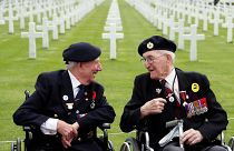 D-Day'den 75 yıl sonra Batı ittifakı ne durumda?