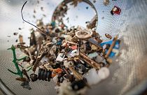 Yetişkin bir insan yılda ortalama 50 bin mikroplastik yutuyor