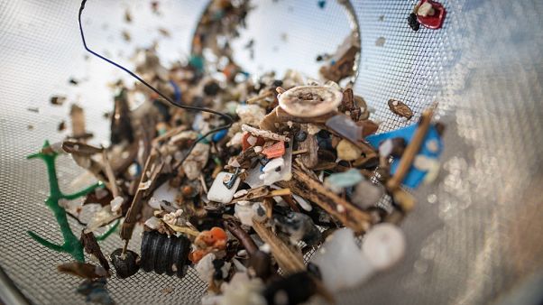 Yetişkin bir insan yılda ortalama 50 bin mikroplastik yutuyor Yetişkin bir insan yılda ortalama 50 bin mikroplastik yutuyor