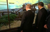 Xi Jinping a Mosca: le intese Cina-Russia