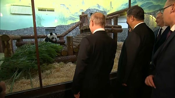 Xi Jinping a Mosca: le intese Cina-Russia Xi Jinping a Mosca: le intese Cina-Russia