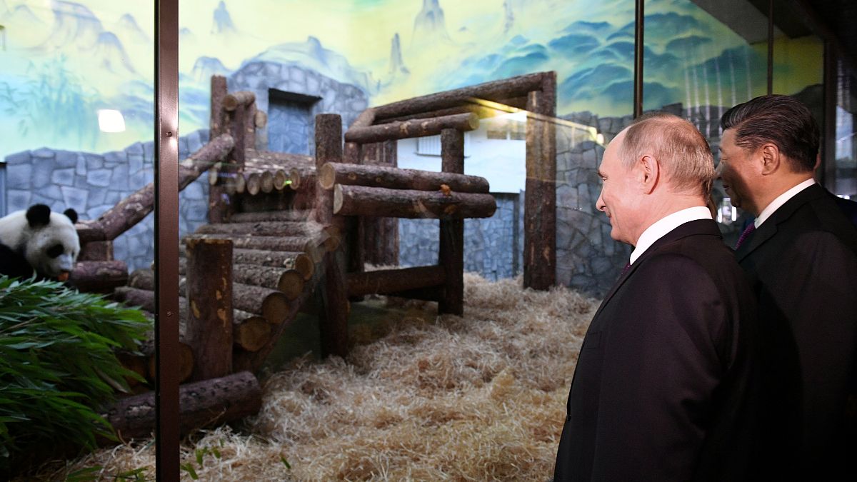 الرئيسان الروسي والصيني يزوران حديقة موسكو التي تسلمت من الصين زوجي باندا