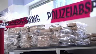 Año de incautaciones récord de cocaina en la Unión Europea