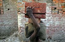 حتى لا تُغتال البراءة.. ترسانة قانونية في هولندا لمكافحة ظاهرة عمالة الأطفال