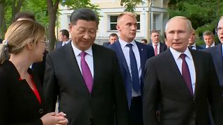 Xi Jinping y Putin visitan a los pandas que Pekín ha cedido a Moscú
