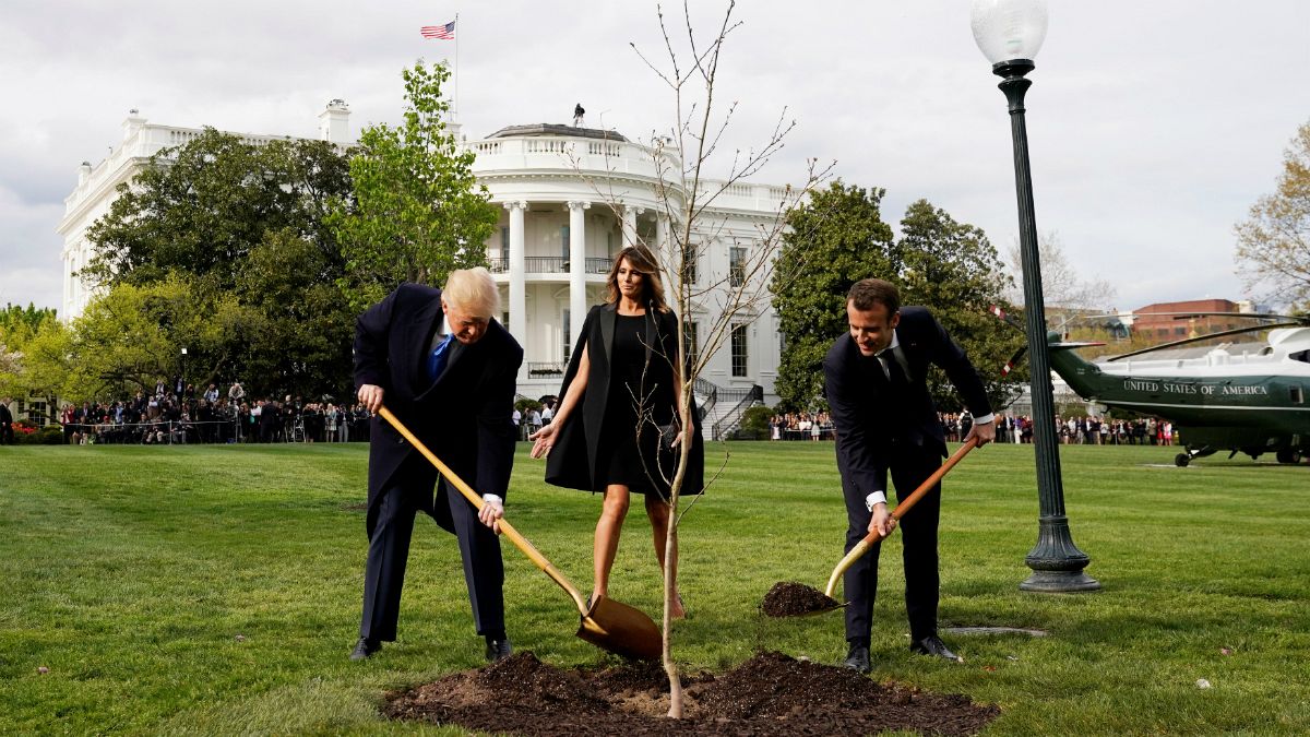 درخت دوستی ترامپ و ماکرون خشکید