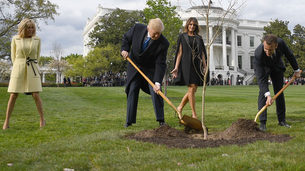 Has the tree symbolising the Trump/Macron friendship died?