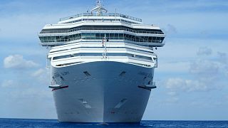 Carnival cruise ships produce more sulphur oxide than all Europe's cars, analysis claims