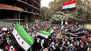 مصريون وسوريون يتظاهرون ضد النظام السوري في القاهرة 