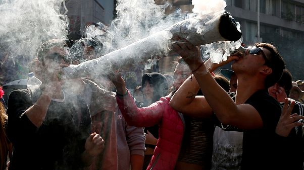 فيديو: بعد تقنينها لغايات ترفيهية مستهلكو الماريجوانا الطبية يطلقون صيحة فزع فيديو: بعد تقنينها لغايات ترفيهية مستهلكو الماريجوانا الطبية يطلقون صيحة فزع