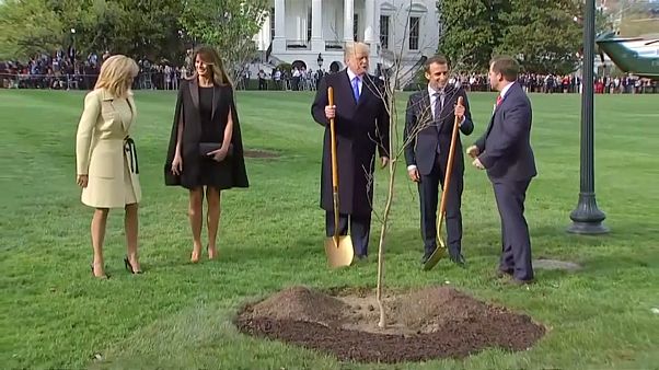 Macron új facsemetét küld Washingtonba Macron új facsemetét küld Washingtonba